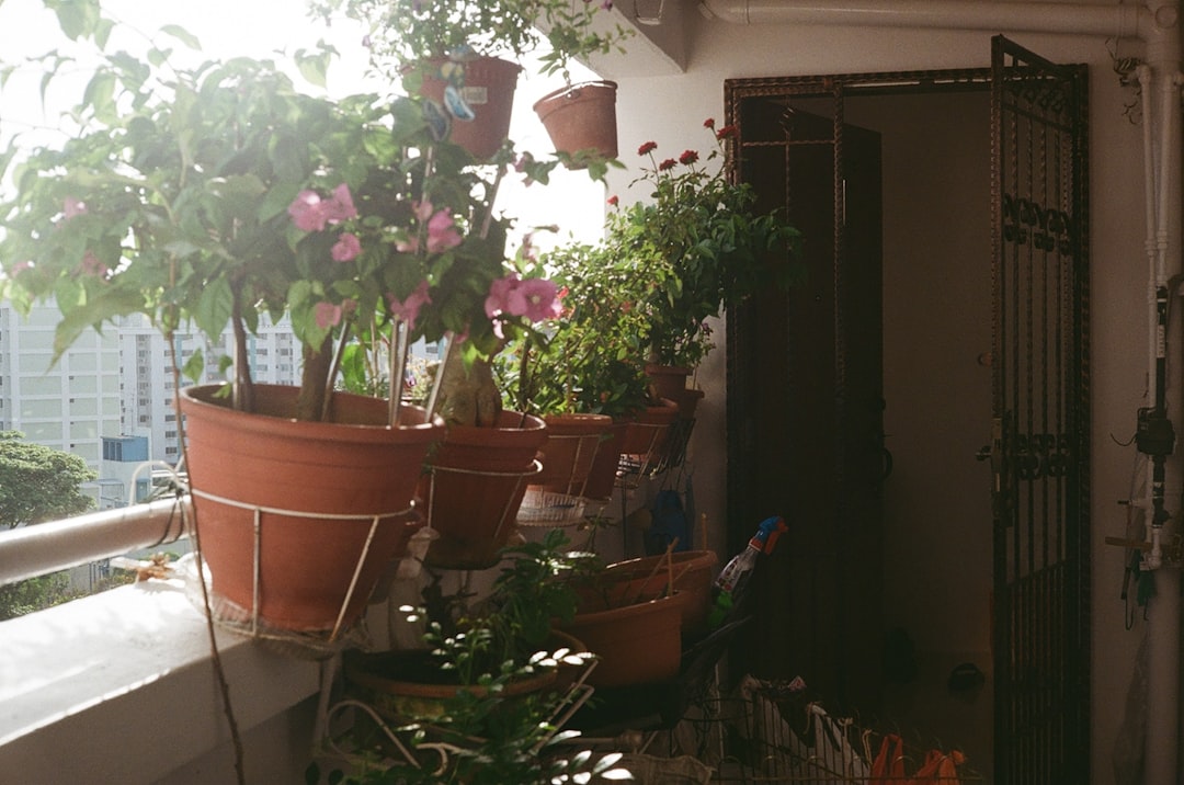 balcony garden design singapore - Goodrich Global Singapore