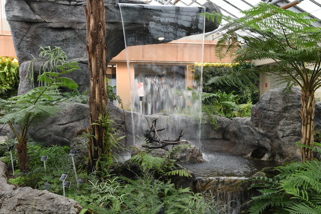 biophilic design commercial interiors - Goodrich Global Singapore