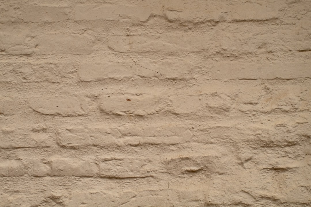 natural fibre wallcovering - Goodrich Global Singapore