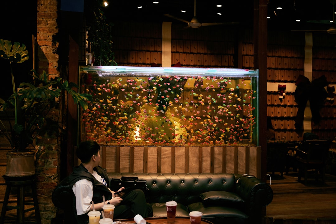 pet cafe interior design - Goodrich Global Singapore