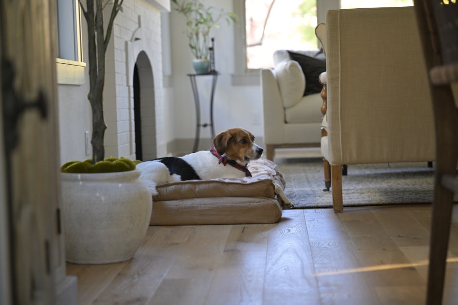 pet friendly flooring singapore - Goodrich Global Singapore