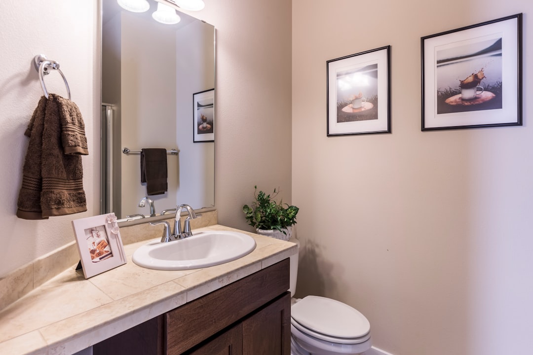powder room design ideas - Goodrich Global Singapore