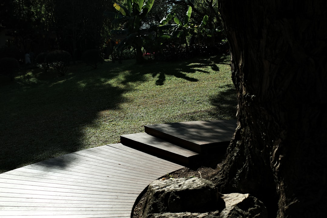wpc decking vs wood - Goodrich Global Singapore