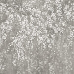 Satin Flowers Wallpaper - colour Z66876