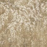 Satin Flowers Wallpaper - colour Z66877
